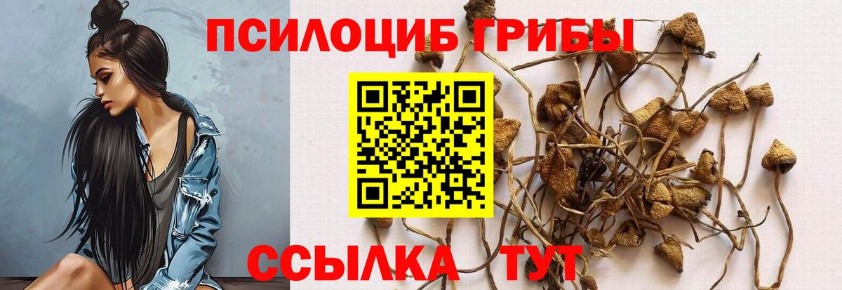 Псилоцибиновые грибы GOLDEN TEACHER Кыштым