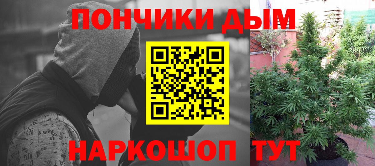 Шишки марихуана Amnesia Кыштым